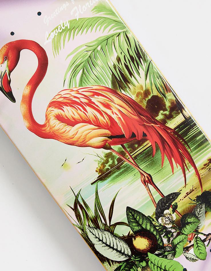 Deathwish Foy Flamingo Skateboard Deck - 8" - Image 2