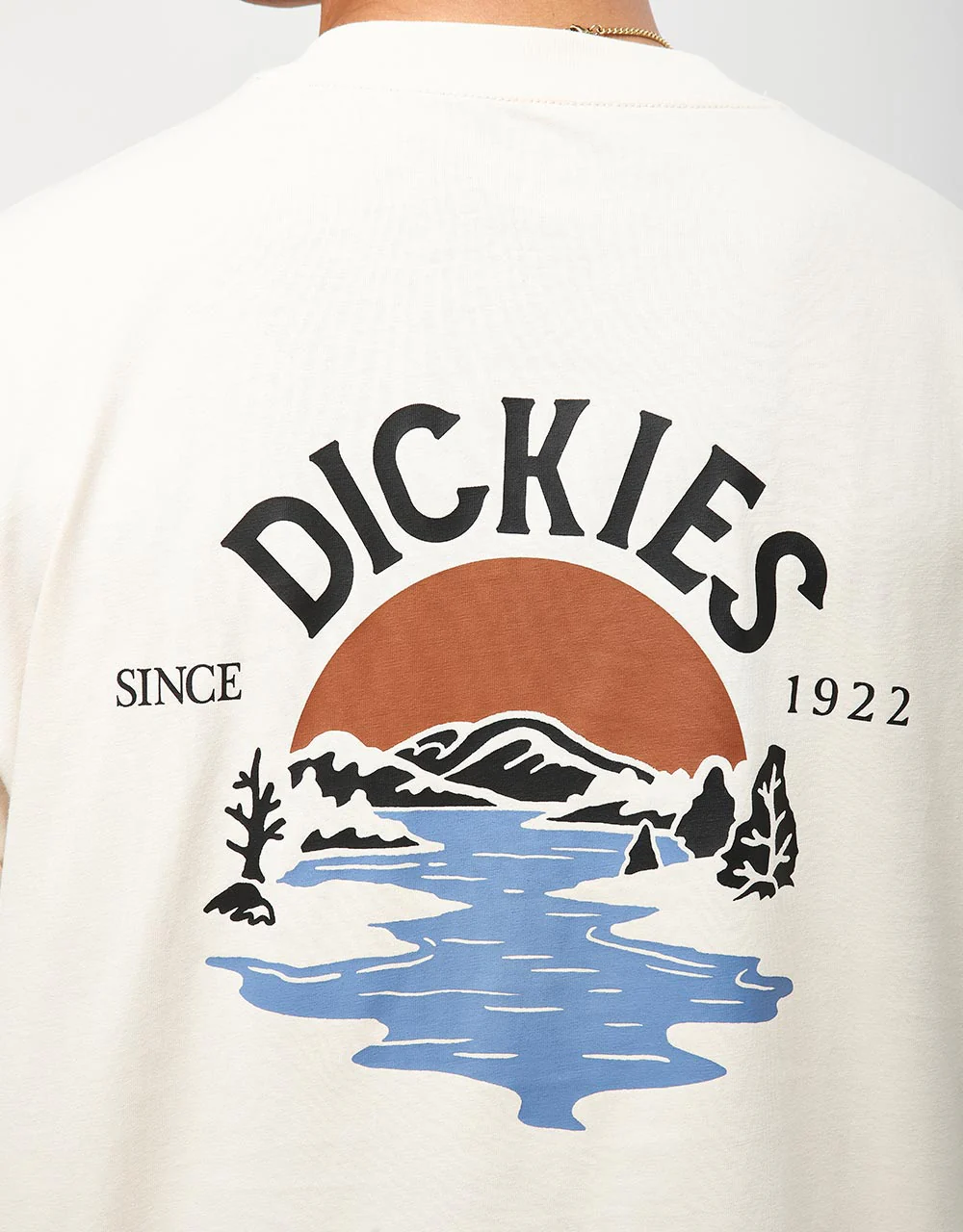 Dickies Beach T-Shirt - Whitecap Gray - Image 3