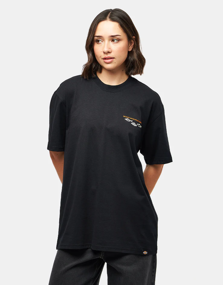 Dickies Laryville T-Shirt - Black - Image 7