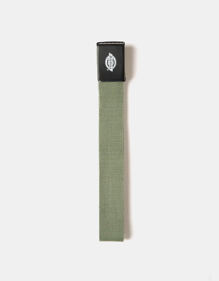 Dickies Orcutt Web Belt - Sea Spray