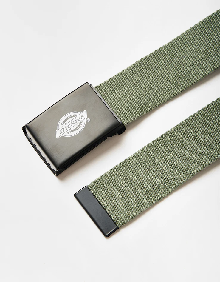 Dickies Orcutt Web Belt - Sea Spray - Image 3