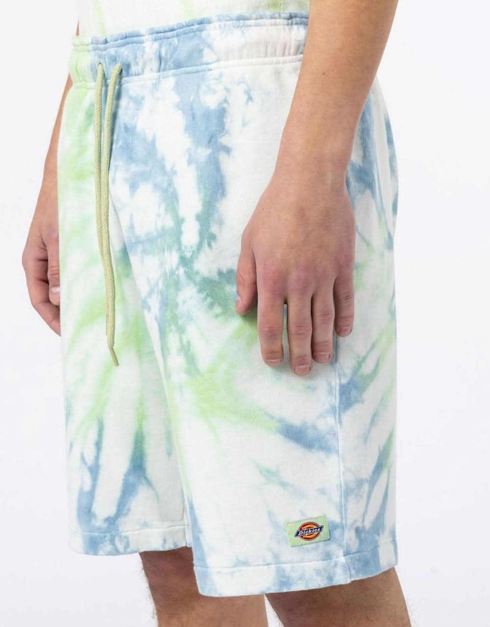 Dickies Seatac Shorts - Celadon Green - Image 3