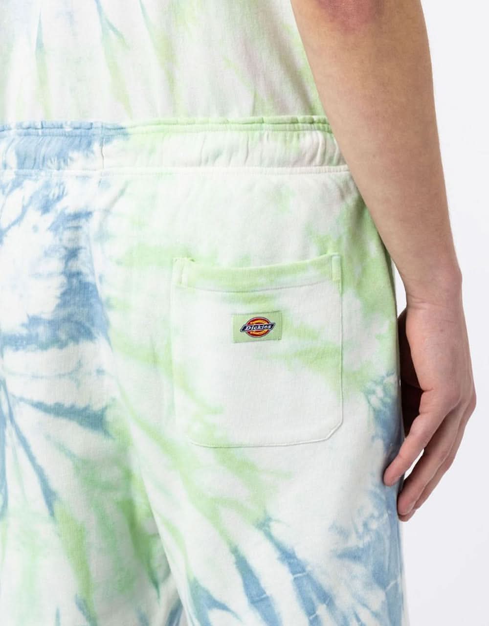 Dickies Seatac Shorts - Celadon Green - Image 4