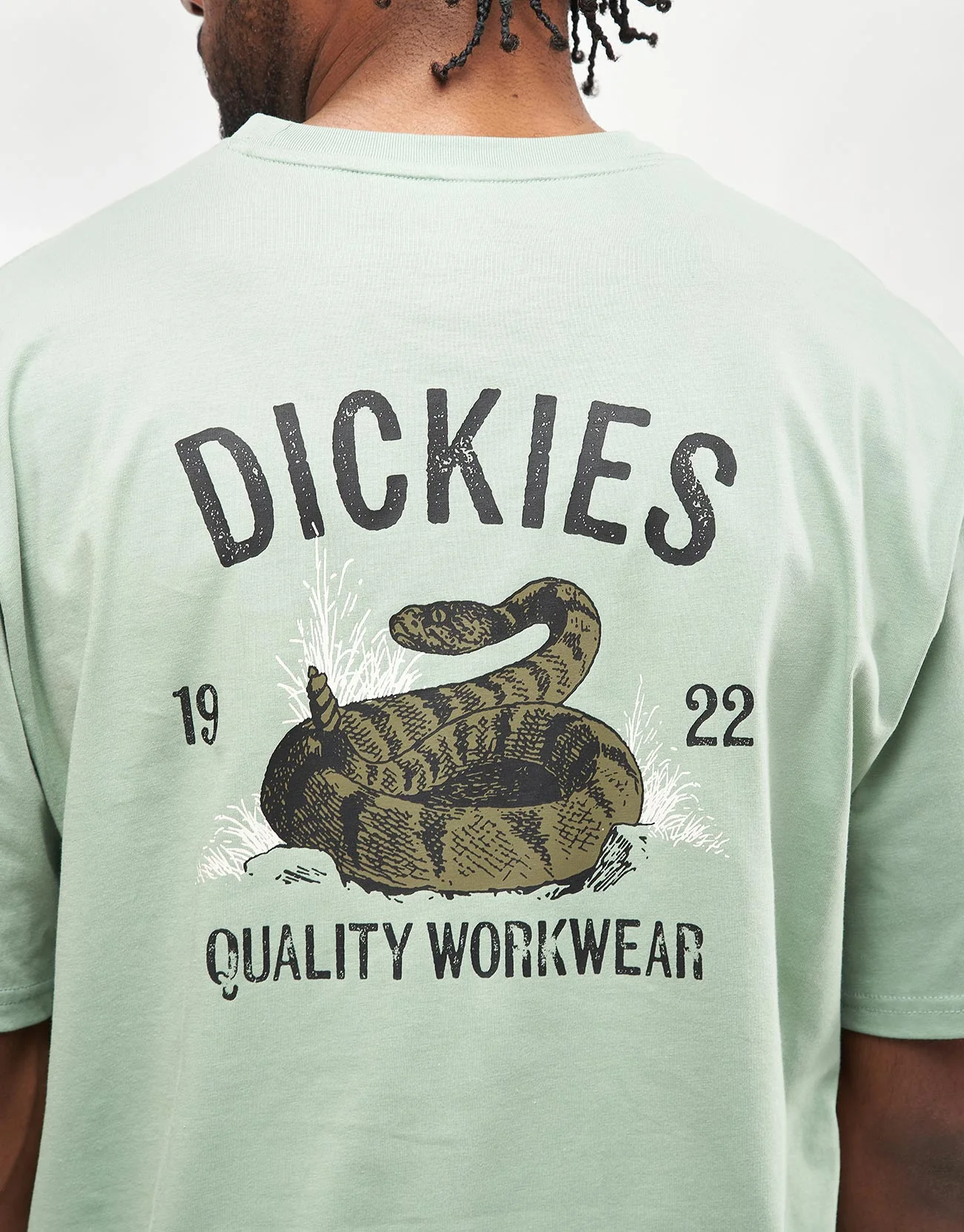 Dickies Snake T-Shirt - Iceberg Green - Image 3