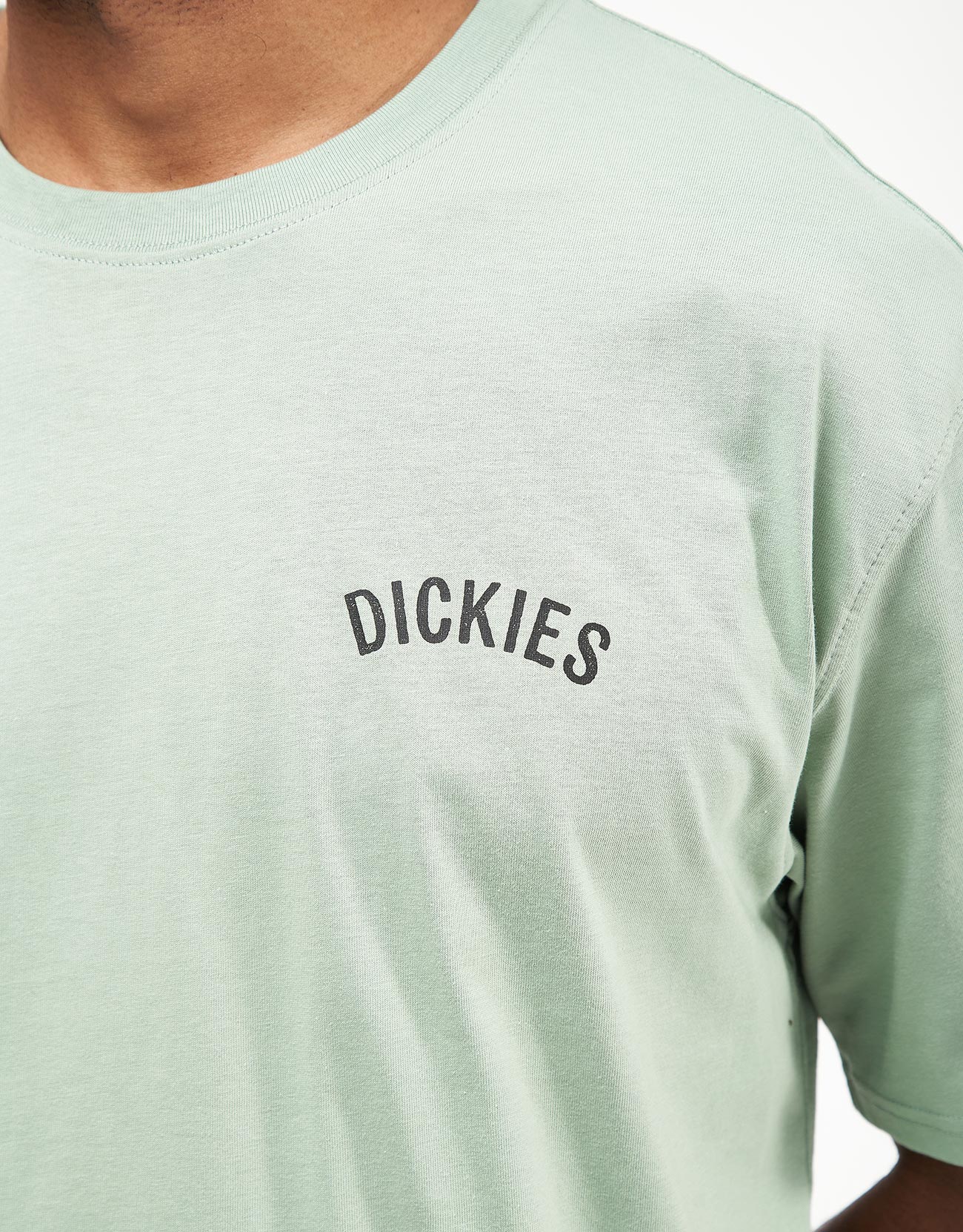 Dickies Snake T-Shirt - Iceberg Green - Image 4