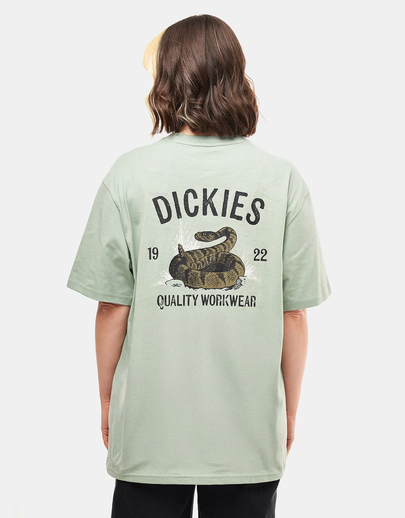 Dickies Snake T-Shirt - Iceberg Green - Image 6