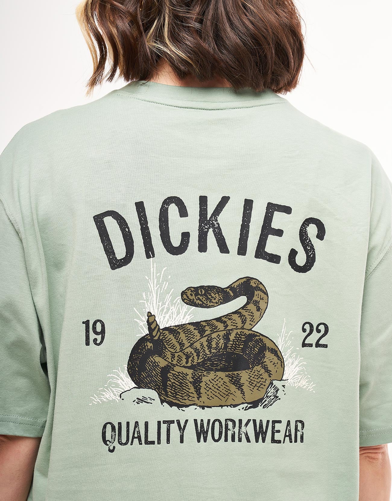 Dickies Snake T-Shirt - Iceberg Green - Image 8