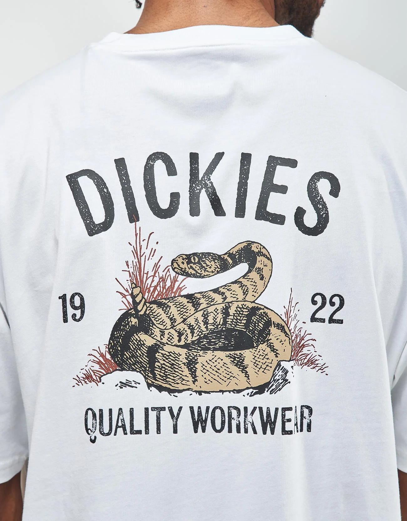 Dickies Snake T-Shirt - White - Image 3