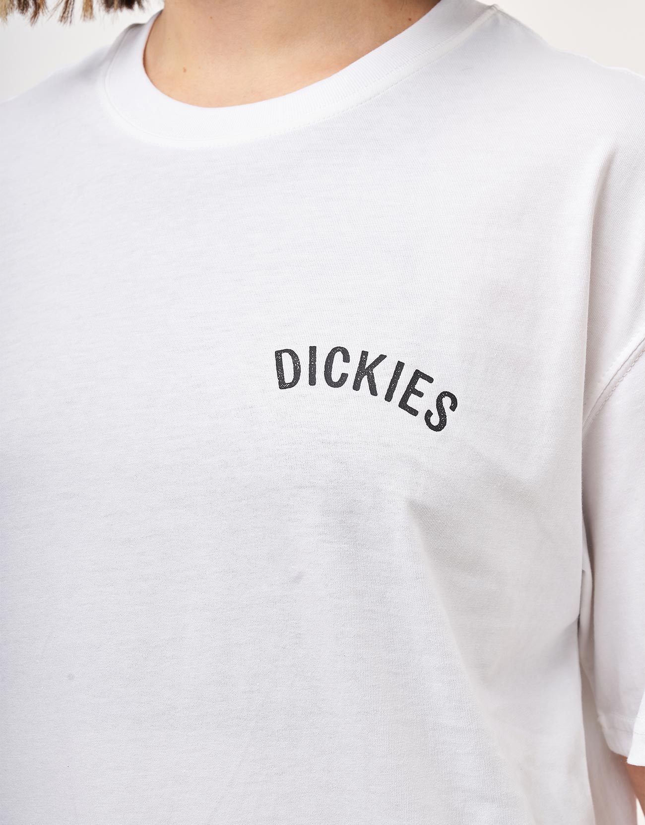 Dickies Snake T-Shirt - White - Image 9