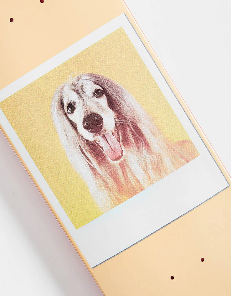 Jart Instant Film Skateboard Deck - 8" - Image 2