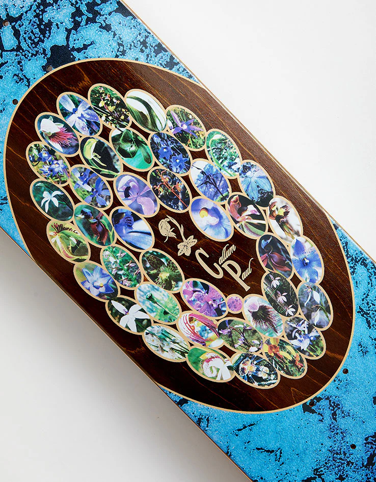 Pass Port Callum Yearbook Series Skateboard Deck - 8.5" - Image 3