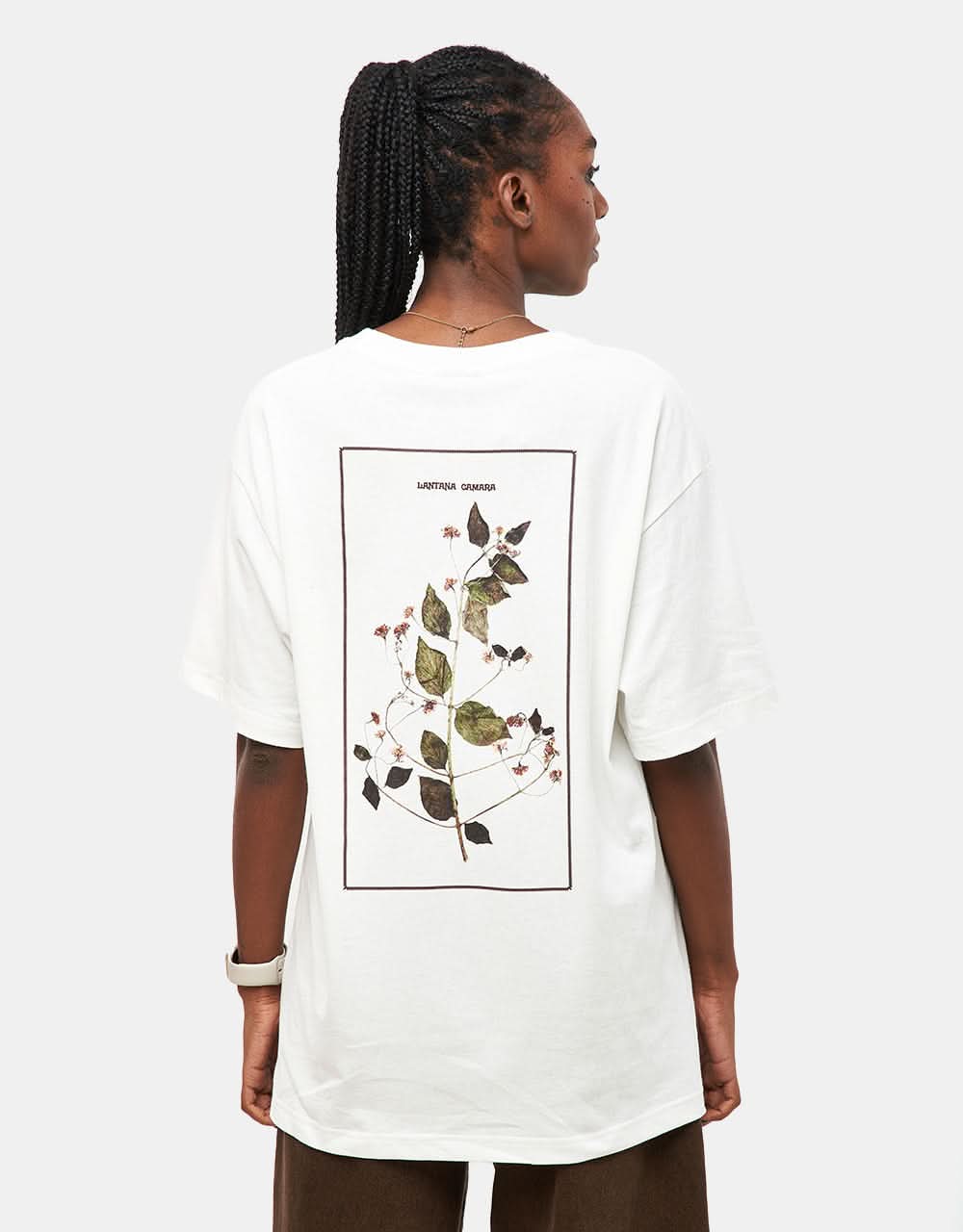 Pass Port Lantana T-Shirt - White - Image 5