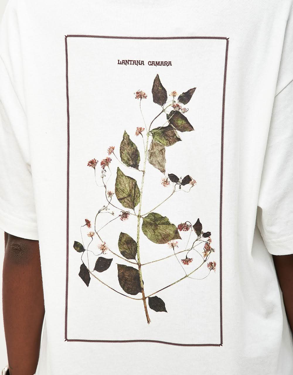 Pass Port Lantana T-Shirt - White - Image 7