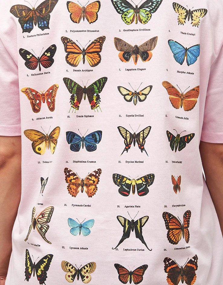 Route One Flutter Organic T-Shirt - Cotton Pink - Image 7
