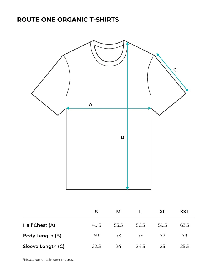 Route One Isola Paradiso Organic T-Shirt - Natural Raw - Image 5
