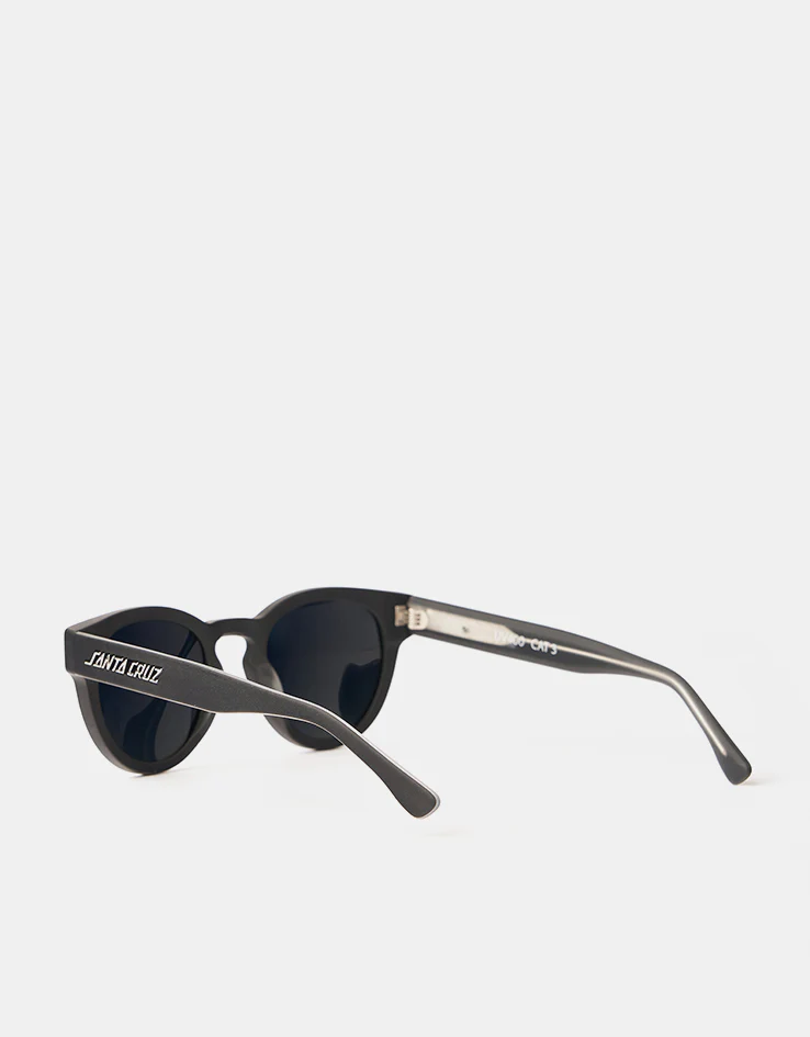 Santa Cruz Watson Plus Sunglasses - Matt Black/Black - Image 4